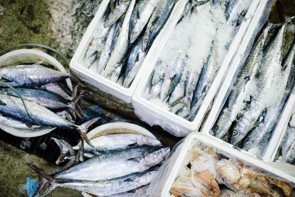 Collaborating to Advance Seafood Traceability